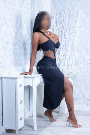 Imagen de la escort  0